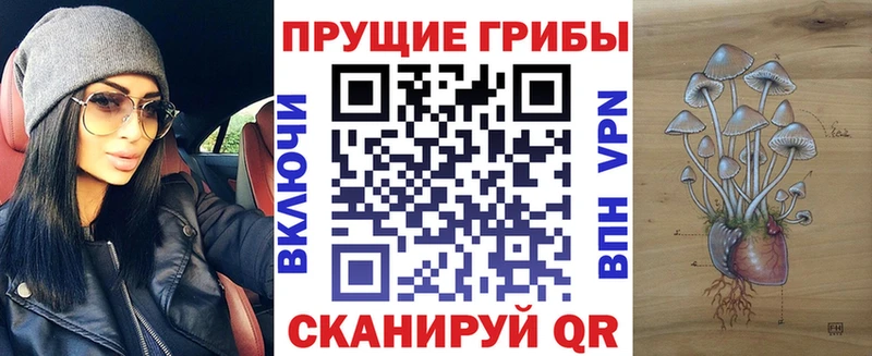 Галлюциногенные грибы Psilocybine cubensis  купить  сайты  Николаевск 